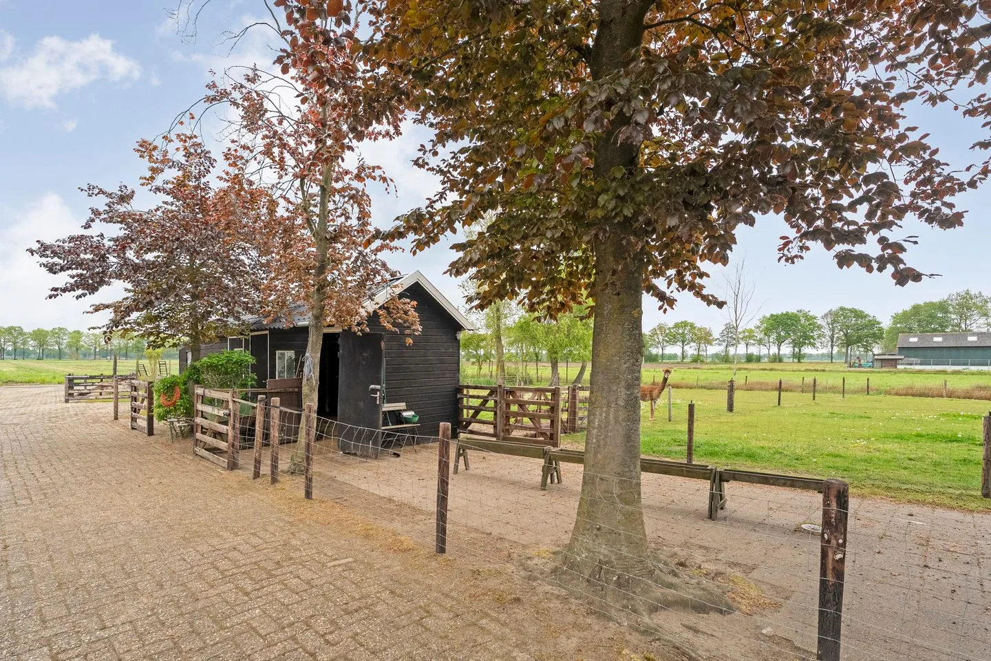 Oosterveen 57 Nieuwleusen thumbnail 66