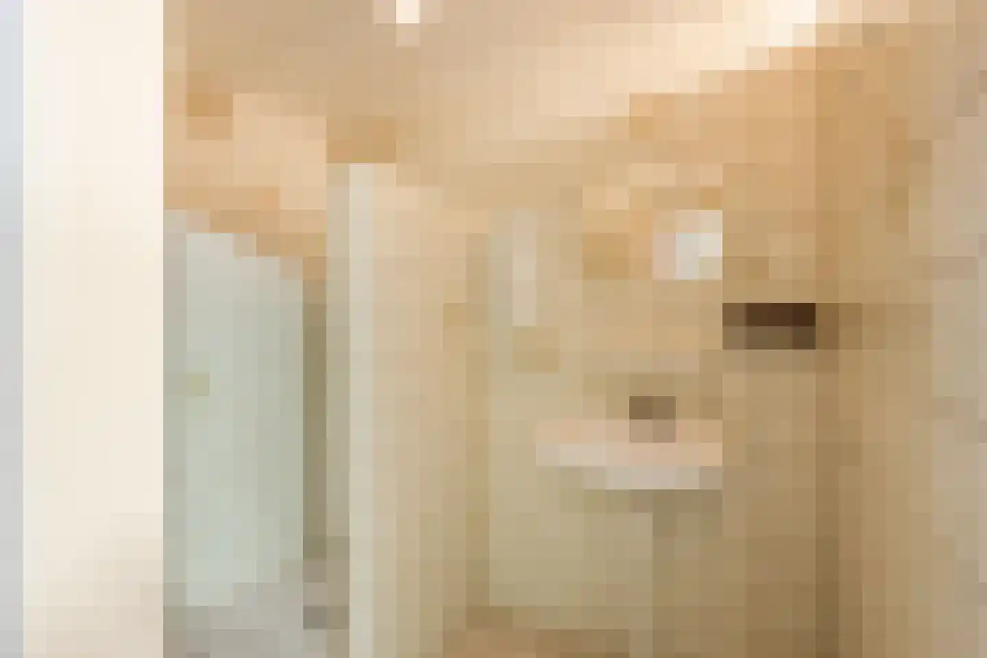Oosterveen 63 Nieuwleusen thumbnail 18