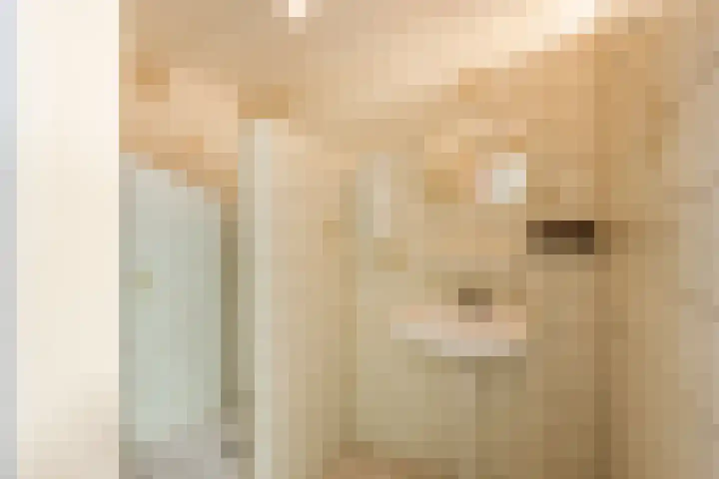 Oosterveen 63 Nieuwleusen thumbnail 18