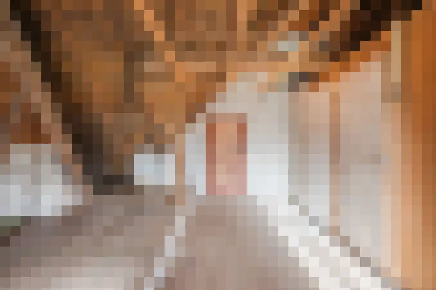 Oosterveen 63 Nieuwleusen thumbnail 35