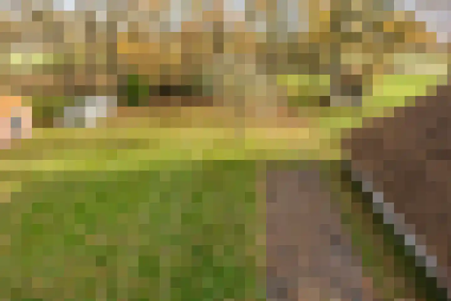 Oosterveen 63 Nieuwleusen thumbnail 63