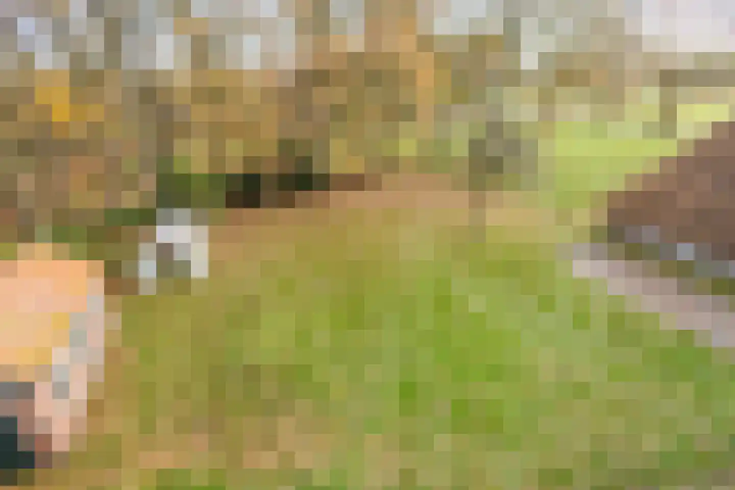 Oosterveen 63 Nieuwleusen thumbnail 64
