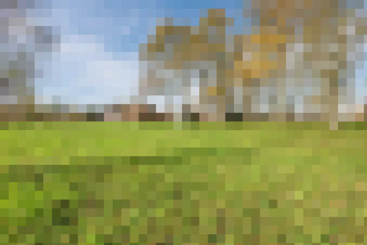 Oosterveen 63 Nieuwleusen thumbnail 65
