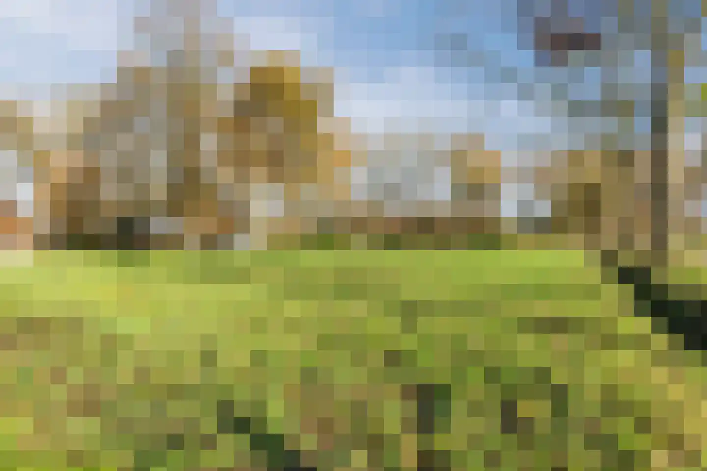 Oosterveen 63 Nieuwleusen thumbnail 66