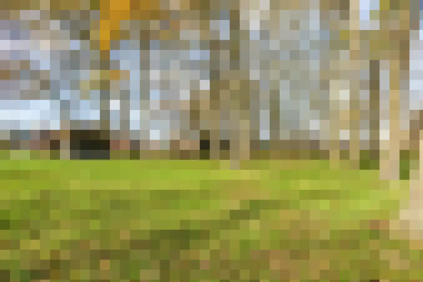Oosterveen 63 Nieuwleusen thumbnail 67