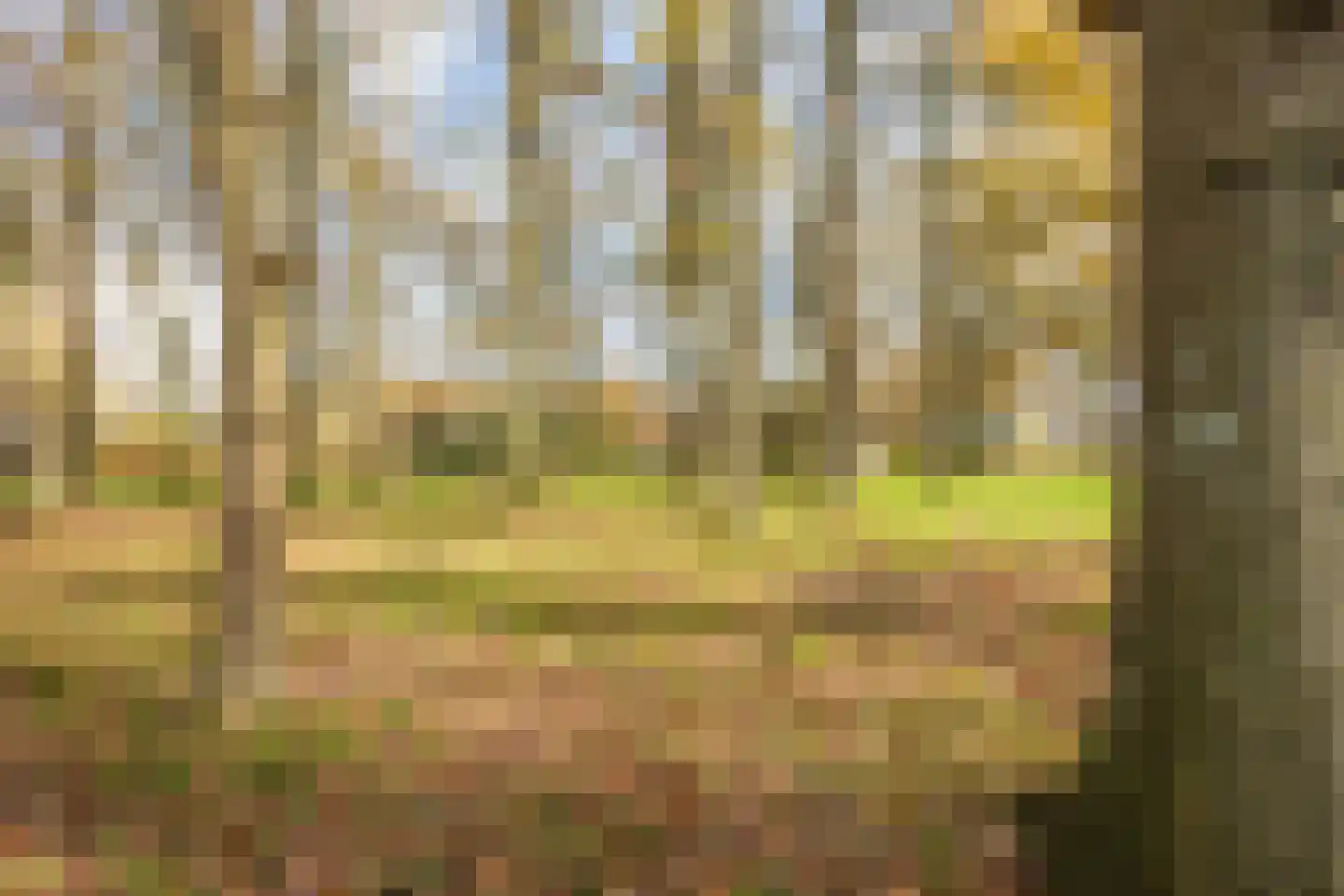 Oosterveen 63 Nieuwleusen thumbnail 68