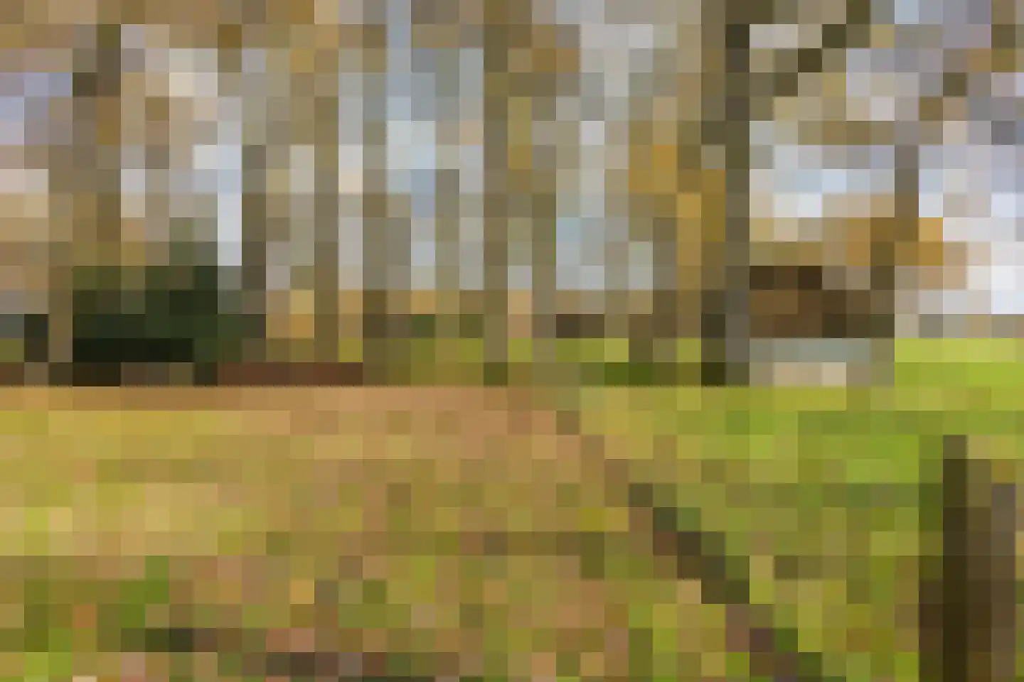 Oosterveen 63 Nieuwleusen thumbnail 69