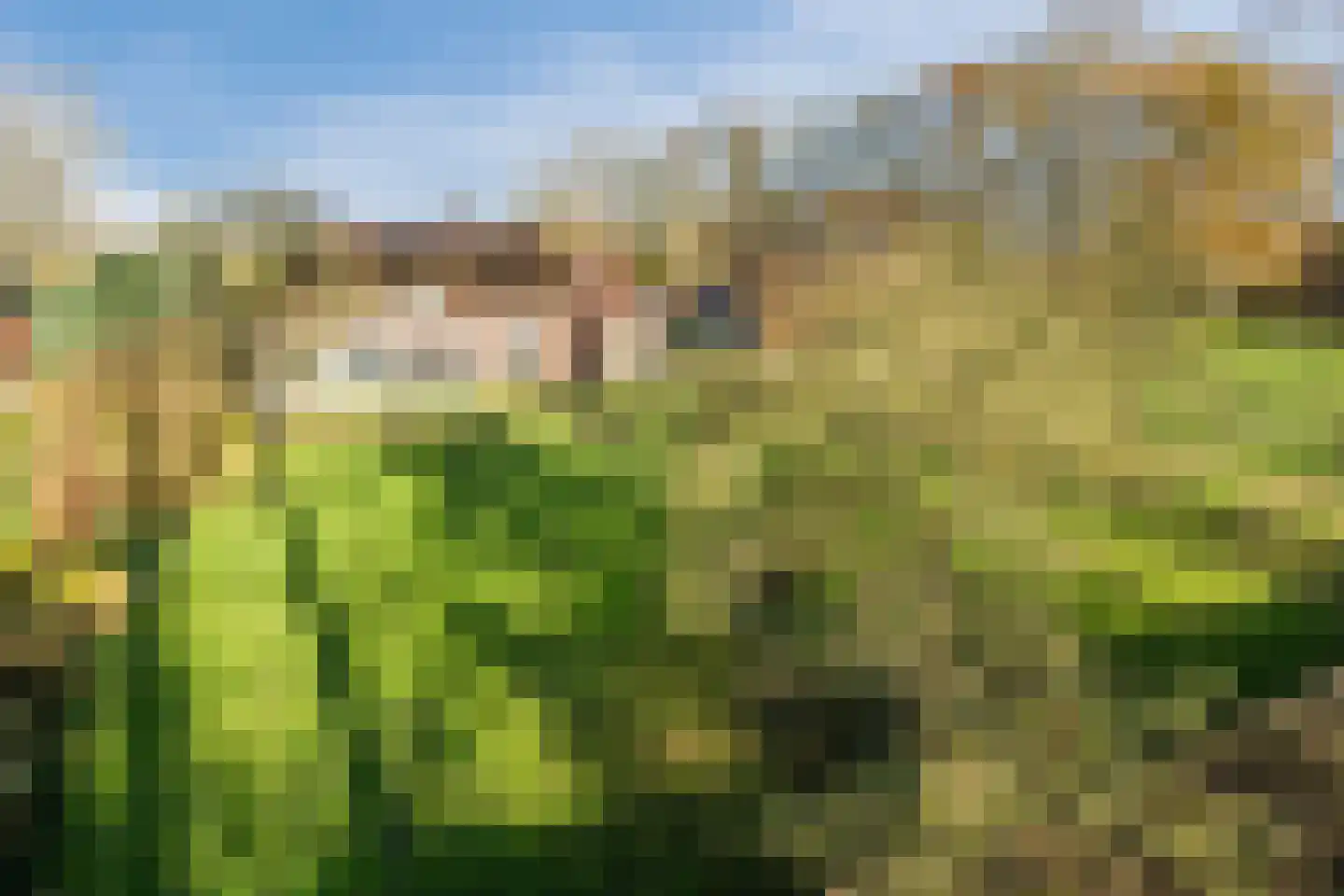 Oosterveen 63 Nieuwleusen thumbnail 70