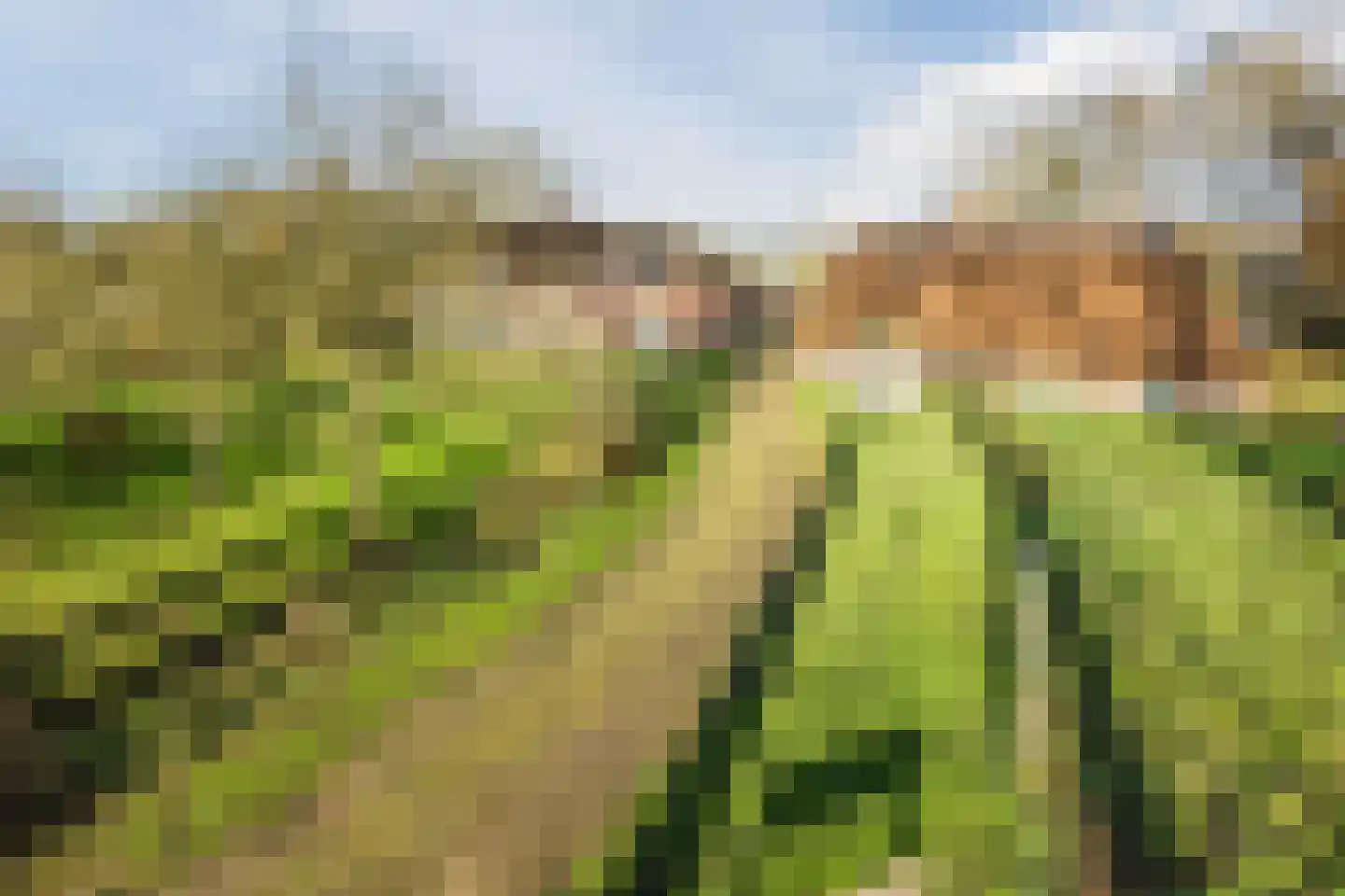 Oosterveen 63 Nieuwleusen thumbnail 71