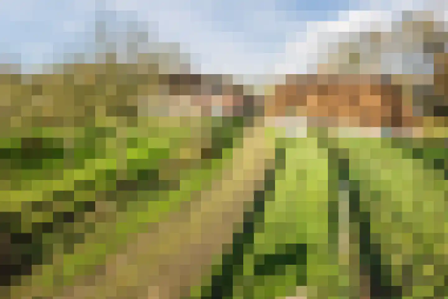 Oosterveen 63 Nieuwleusen thumbnail 72
