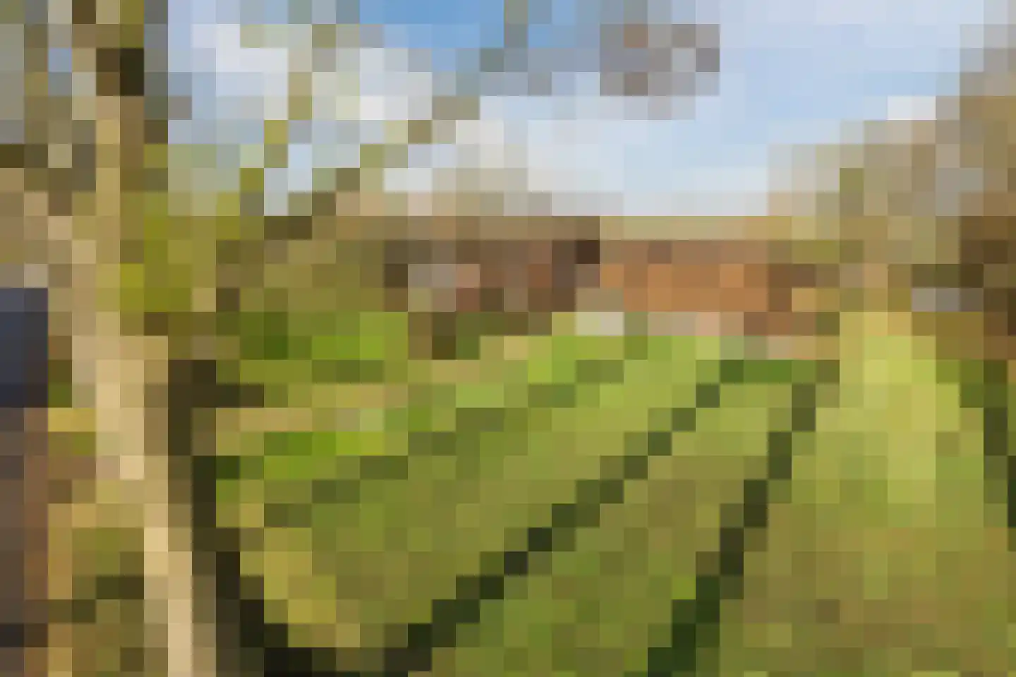 Oosterveen 63 Nieuwleusen thumbnail 73