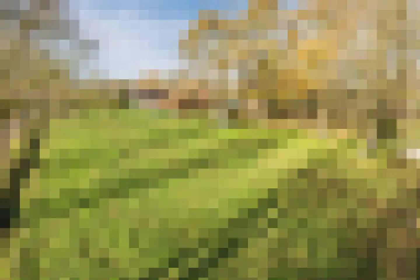 Oosterveen 63 Nieuwleusen thumbnail 74