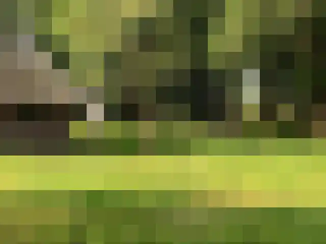 Oosterveen 63 Nieuwleusen thumbnail 85