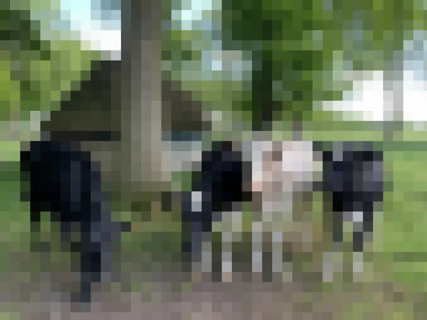 Oosterveen 63 Nieuwleusen thumbnail 86