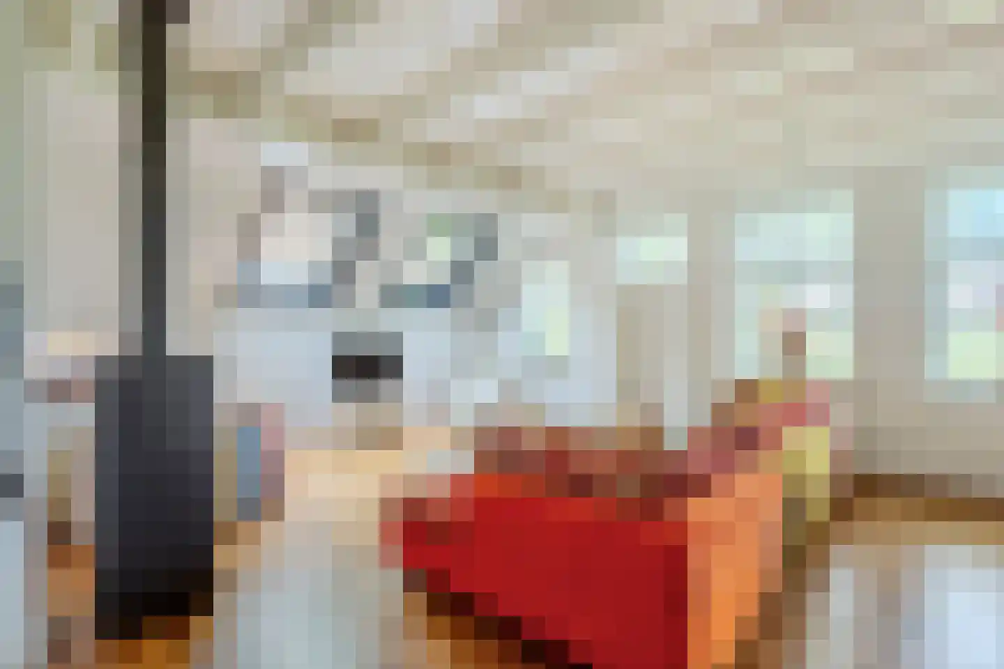 Oosterveen 79 Nieuwleusen thumbnail 14