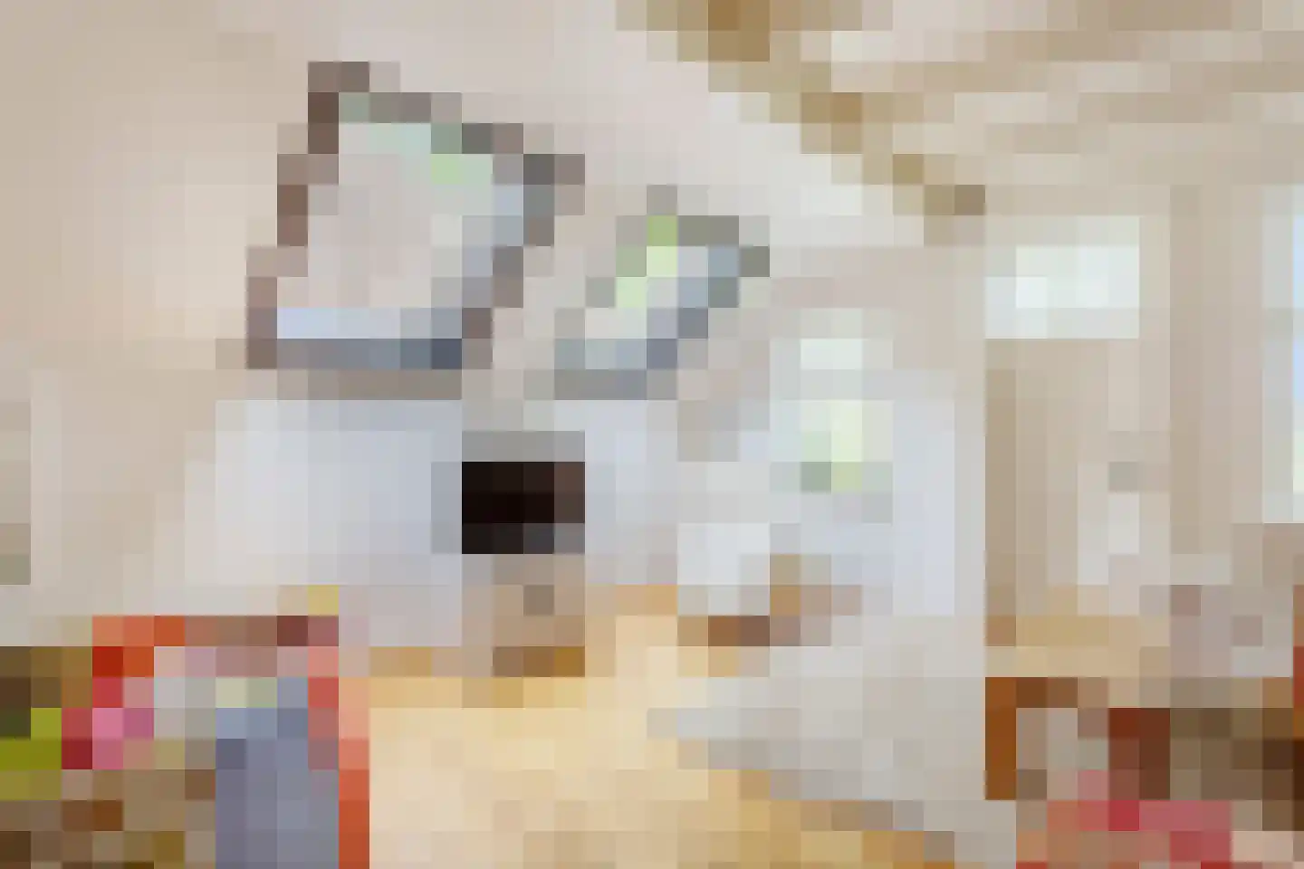 Oosterveen 79 Nieuwleusen thumbnail 15
