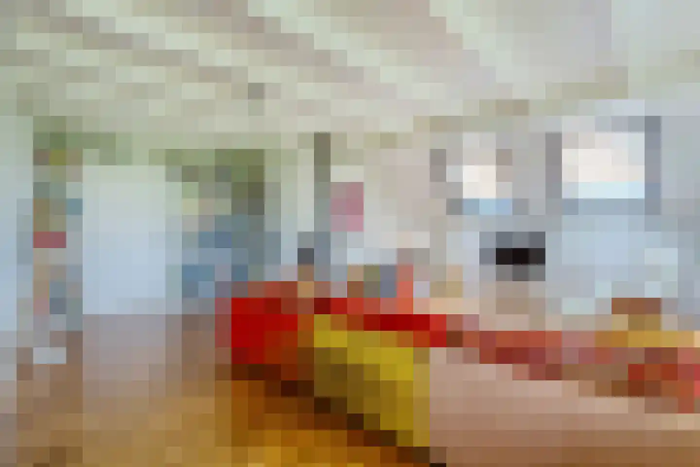 Oosterveen 79 Nieuwleusen thumbnail 16