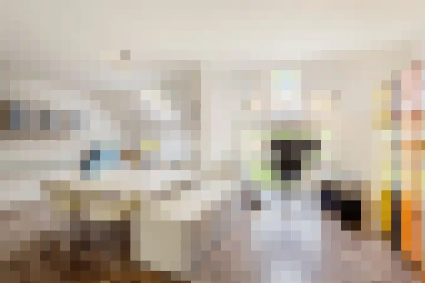 Oosterveen 79 Nieuwleusen thumbnail 35