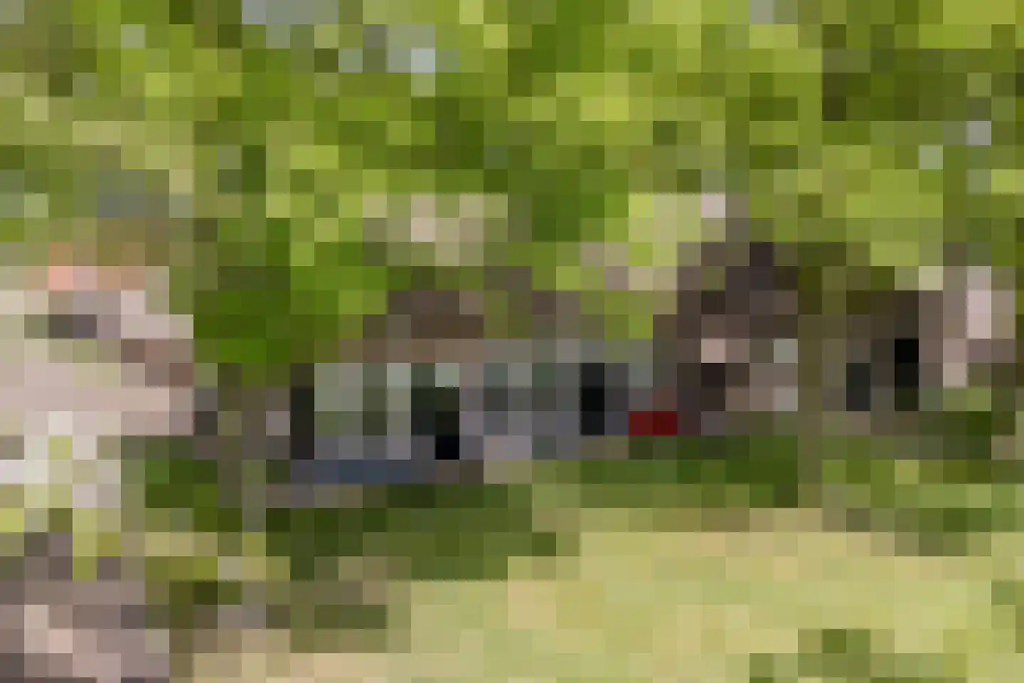 Oosterveen 79 Nieuwleusen thumbnail 4
