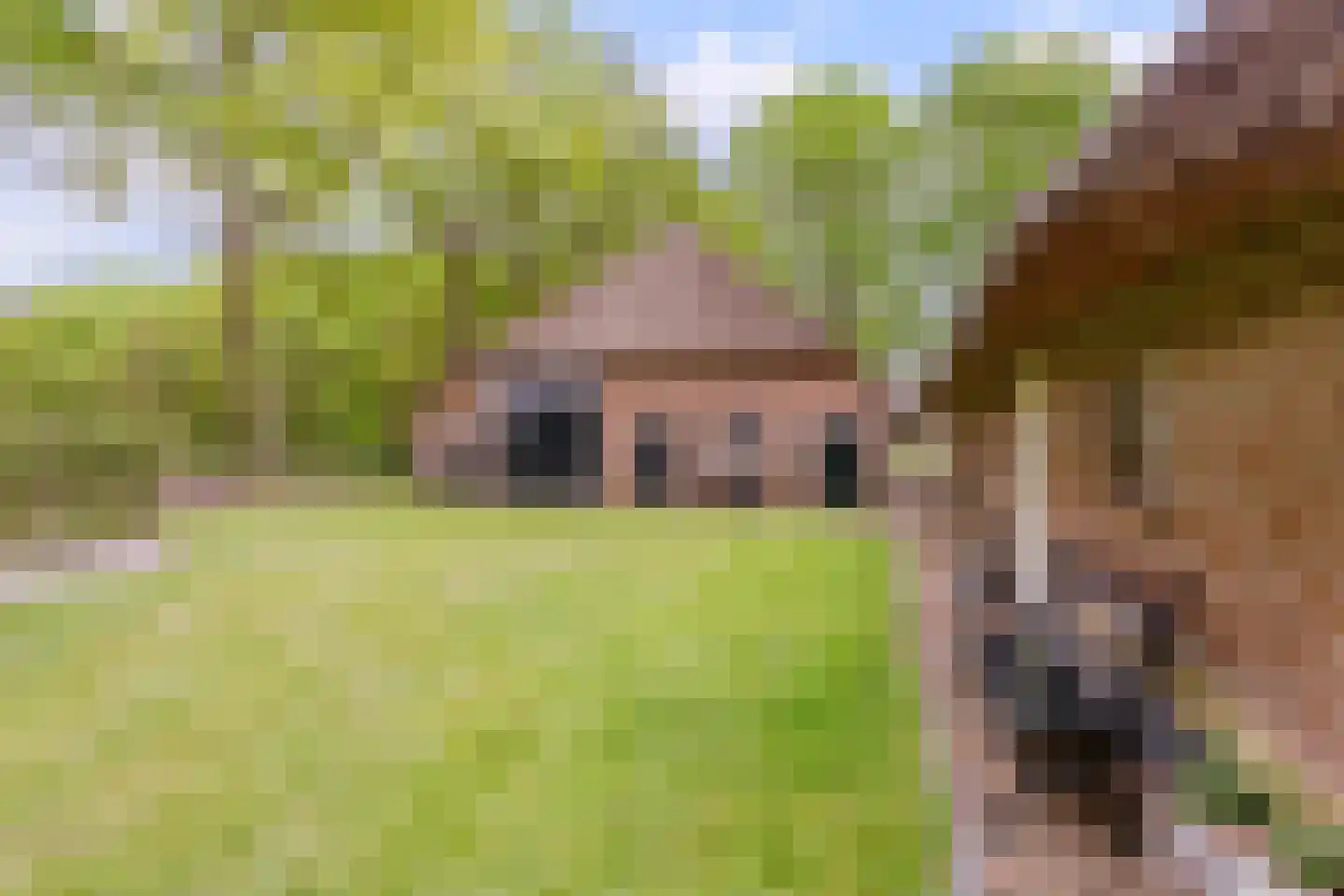 Oosterveen 79 Nieuwleusen thumbnail 44