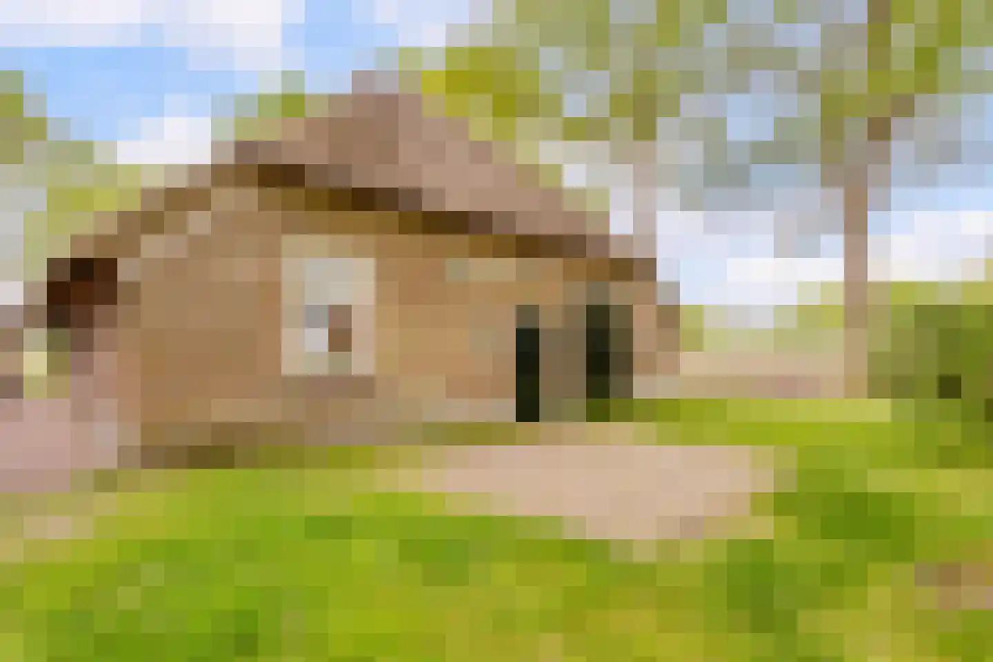 Oosterveen 79 Nieuwleusen thumbnail 52