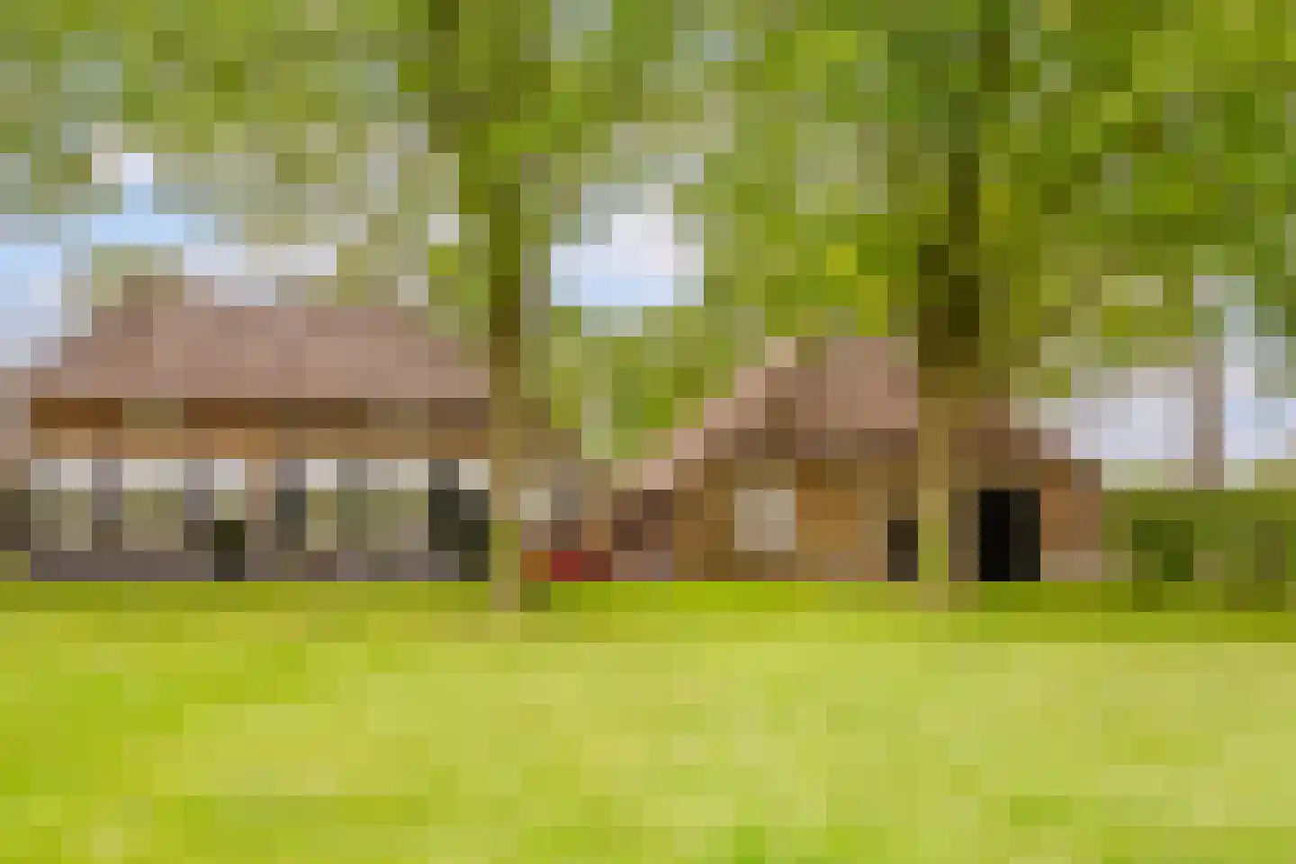 Oosterveen 79 Nieuwleusen thumbnail 53