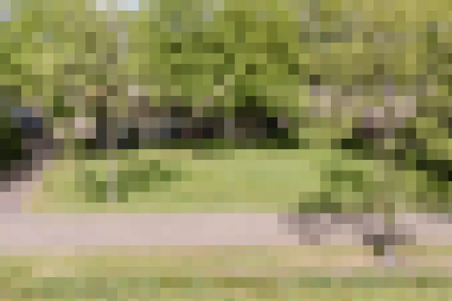 Oosterveen 79 Nieuwleusen thumbnail 60