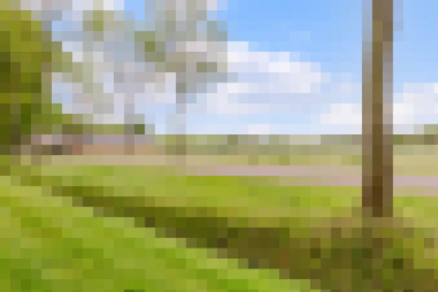 Oosterveen 79 Nieuwleusen thumbnail 61