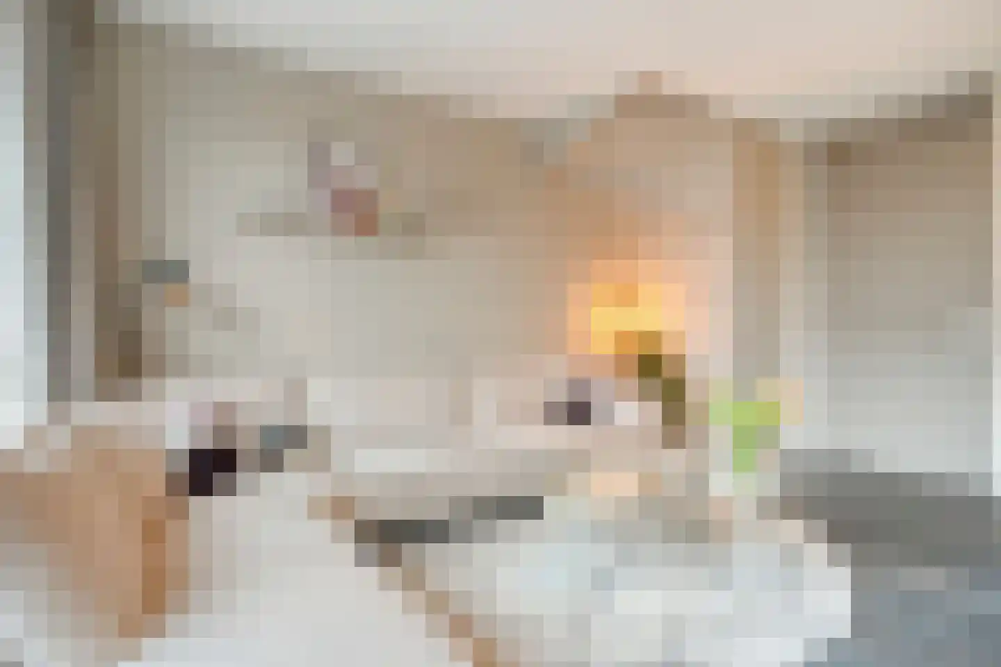 Oosterveen 8 Raalte thumbnail 12
