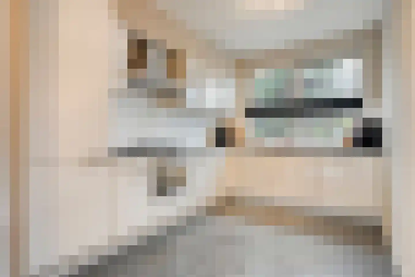 Oosterveen 8 Raalte thumbnail 16