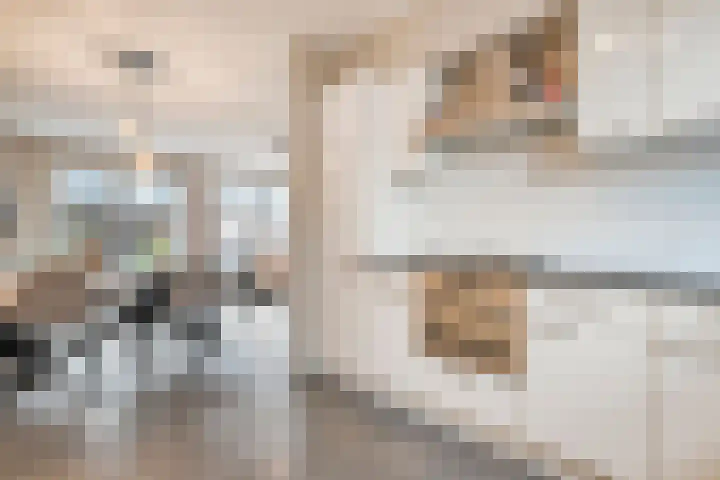 Oosterveen 8 Raalte thumbnail 17