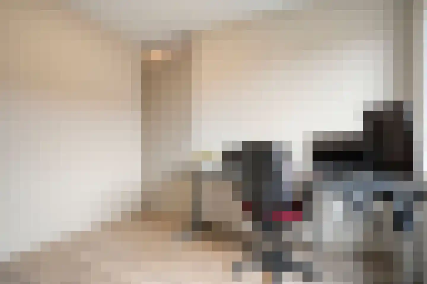 Oosterveen 8 Raalte thumbnail 24