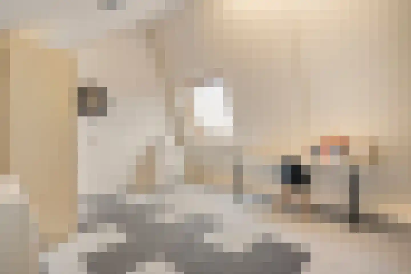 Oosterveen 8 Raalte thumbnail 30