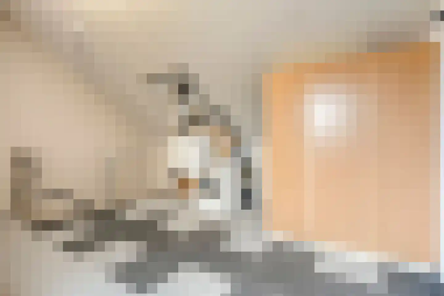 Oosterveen 8 Raalte thumbnail 31