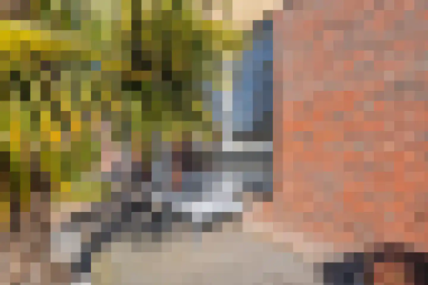 Oosterveen 8 Raalte thumbnail 48
