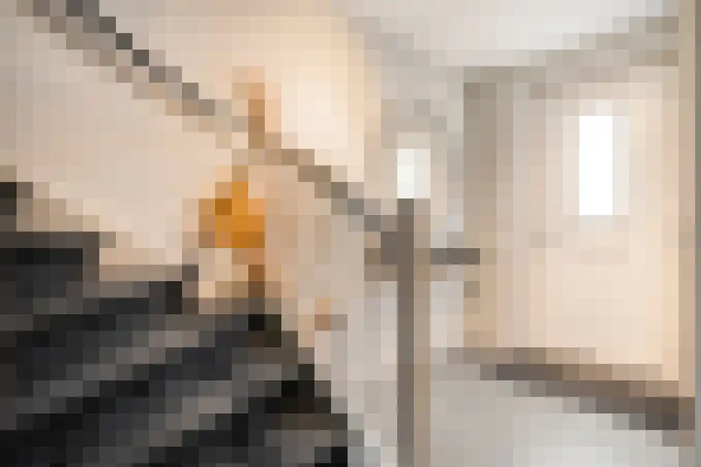 Oosterveen 8 Raalte thumbnail 6