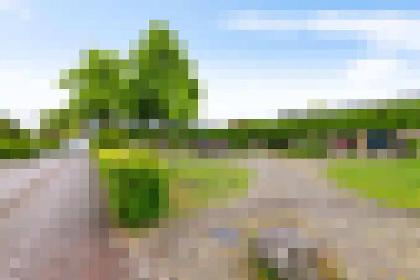 Oosterveld 24 Rolde thumbnail 6