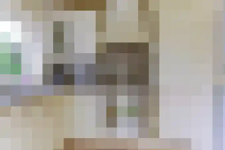 Oostervelden 115 Bemmel thumbnail 10