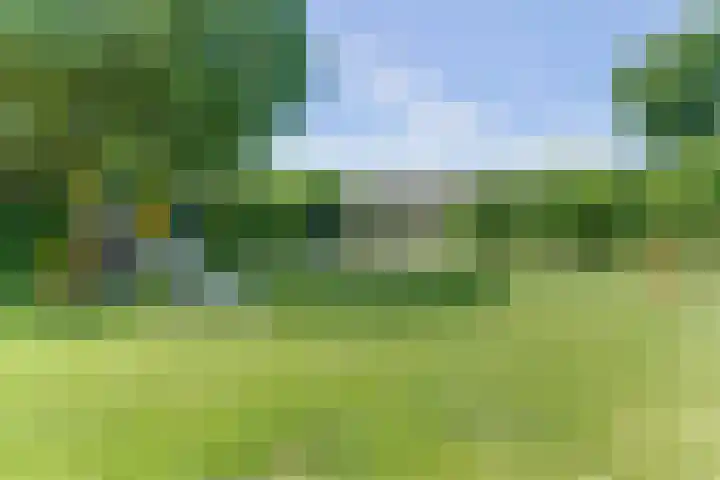 Oostervelden 115 Bemmel thumbnail 33