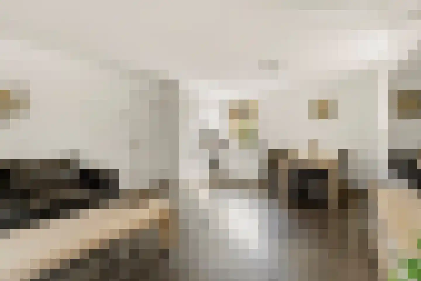 Oostervelden 26 Bemmel thumbnail 10