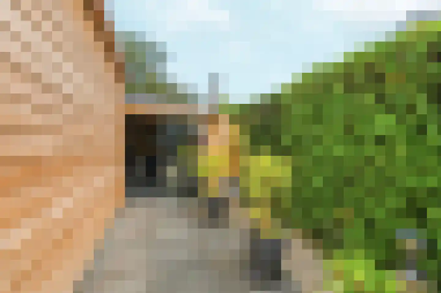 Oostervelden 26 Bemmel thumbnail 20