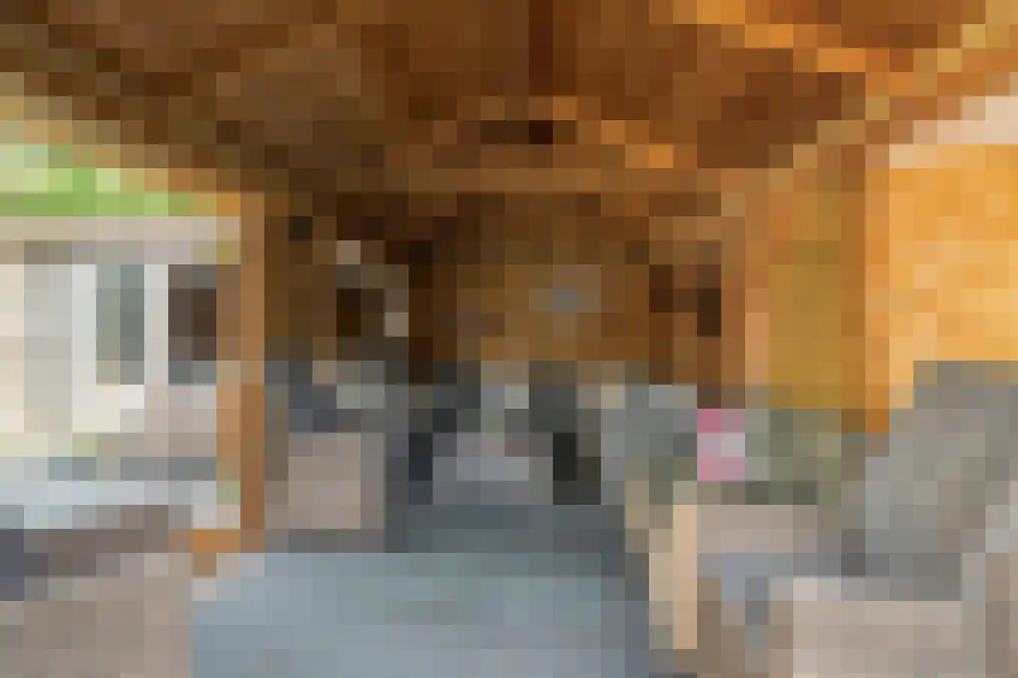 Oostervelden 26 Bemmel thumbnail 22
