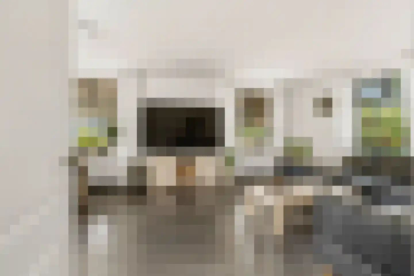 Oostervelden 26 Bemmel thumbnail 7