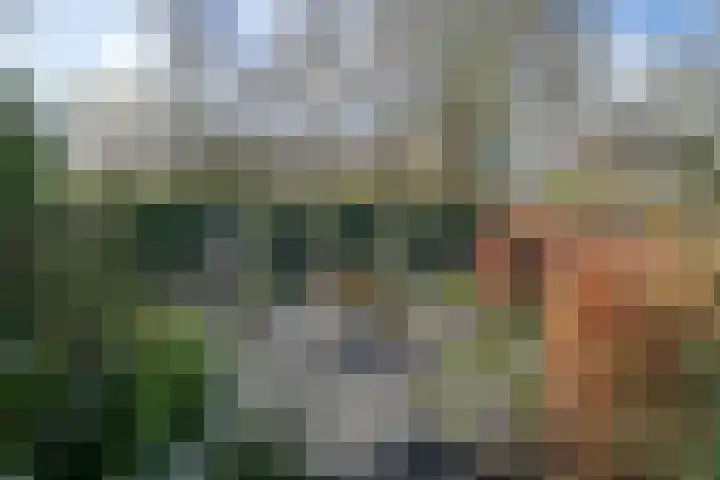 Oostervelden 28 Bemmel thumbnail 67