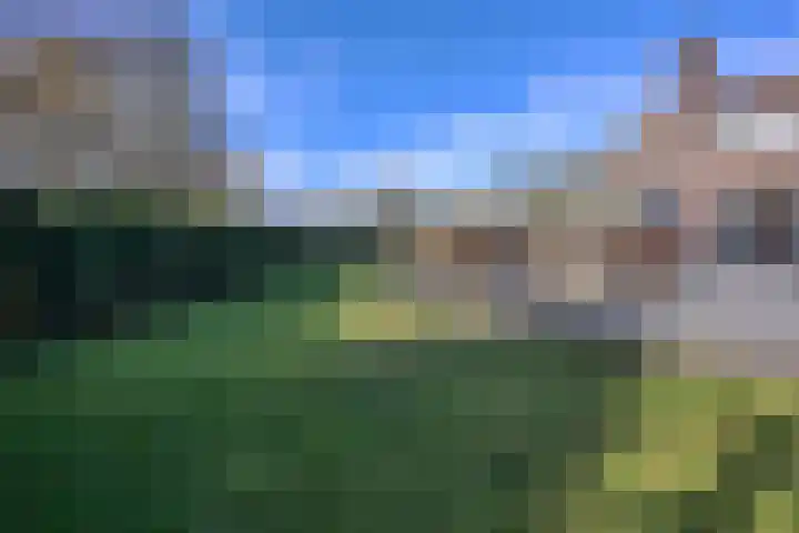 Oostervelden 28 Bemmel thumbnail 72