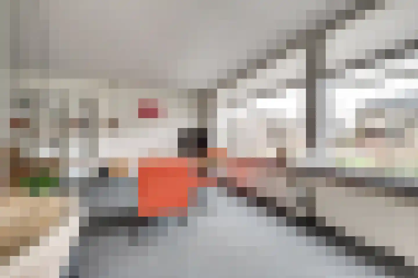 Oostervelden 61 Bemmel thumbnail 7