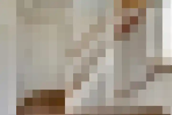 Oostervelden 65 Bemmel thumbnail 14