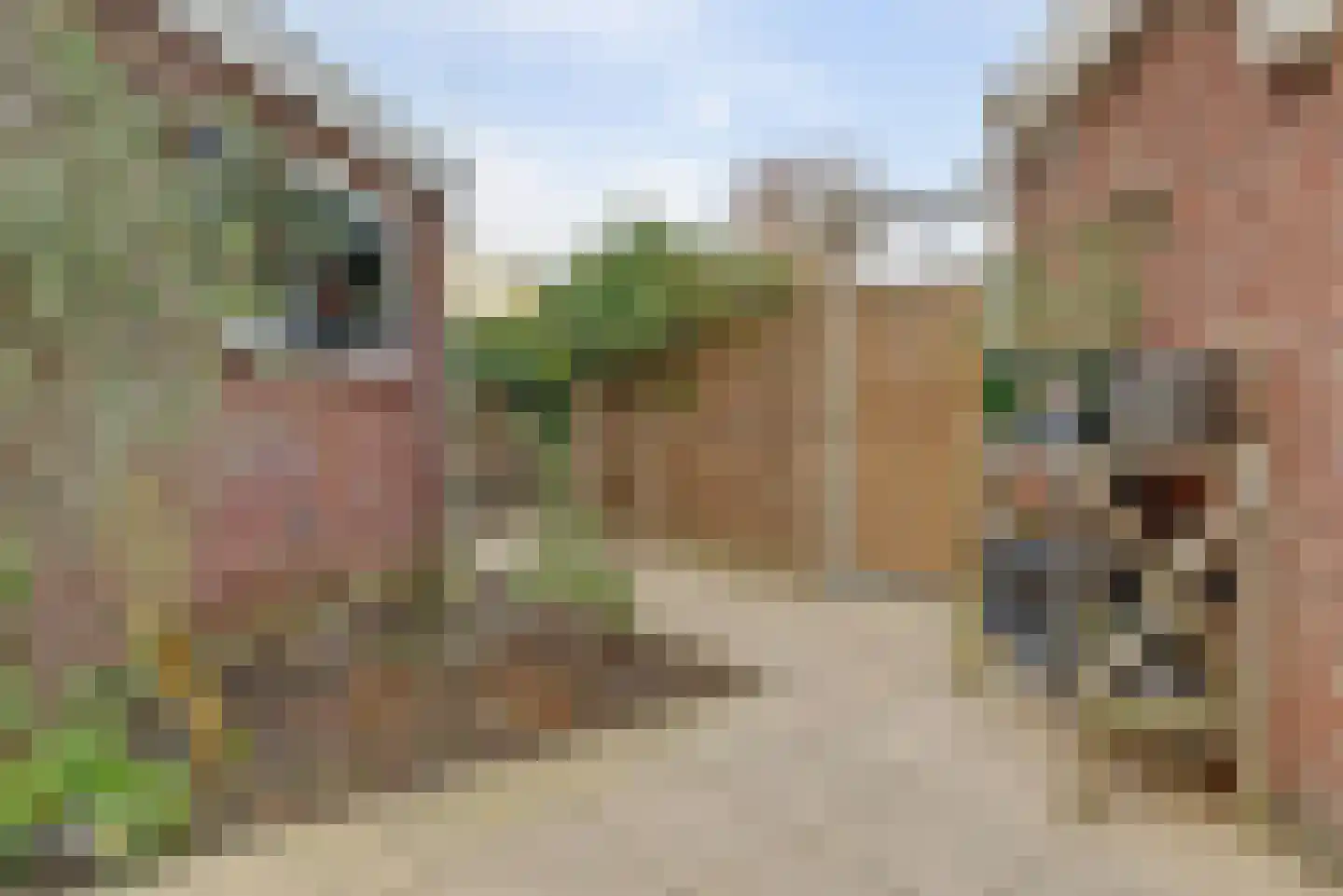 Oostervelden 65 Bemmel thumbnail 31