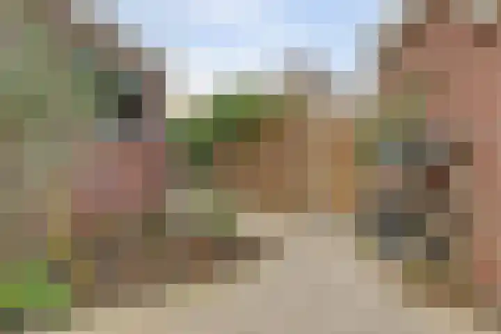 Oostervelden 65 Bemmel thumbnail 31