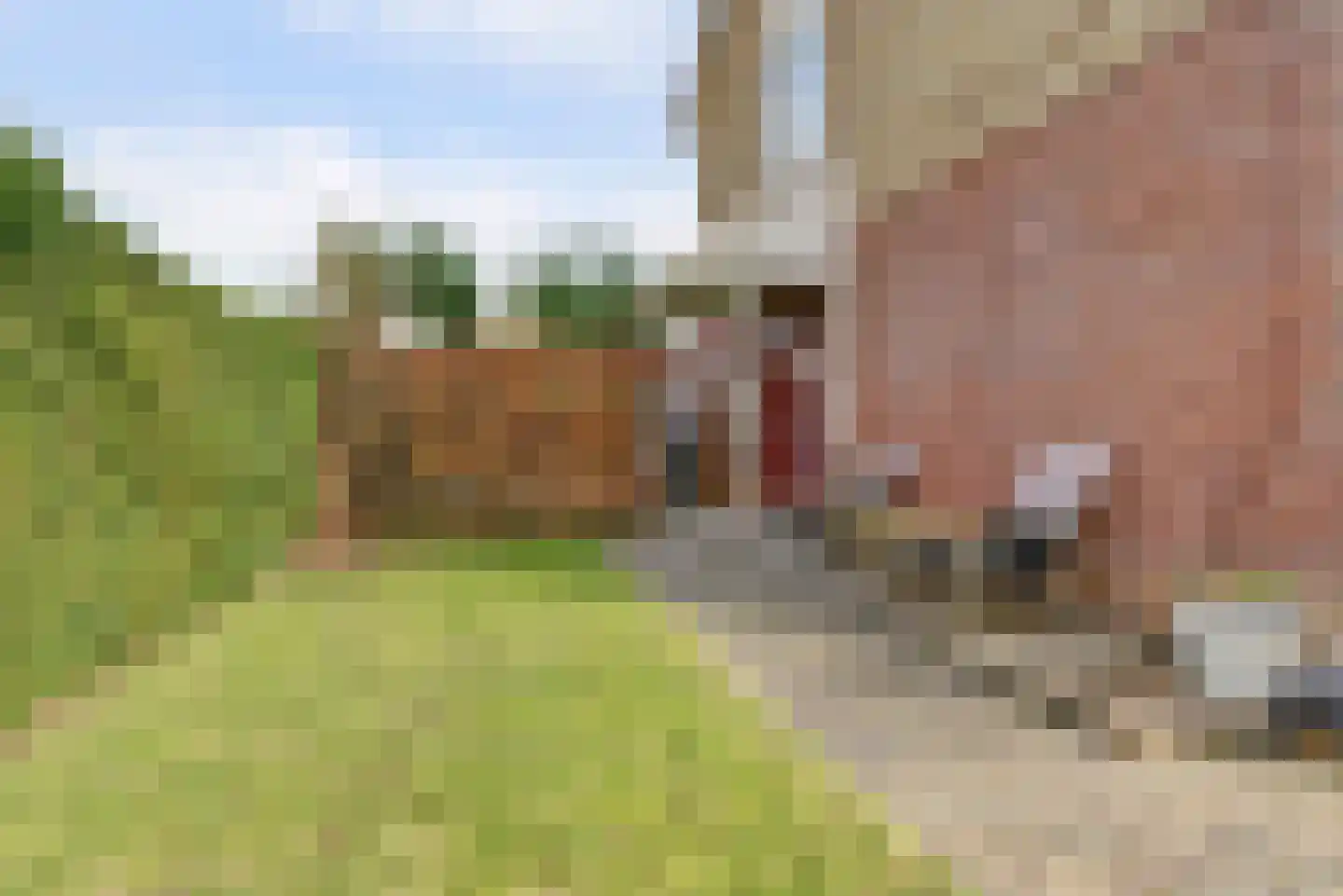 Oostervelden 65 Bemmel thumbnail 33